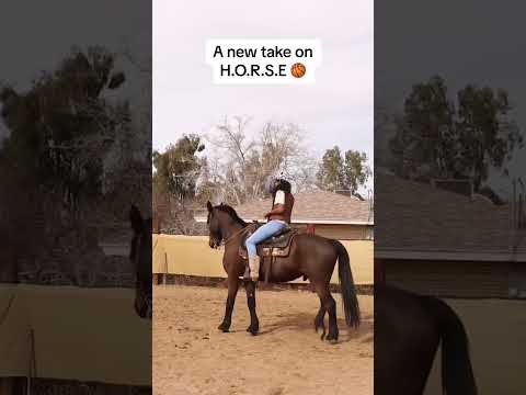 They recreated the game H.O.R.S.E on a horse 🤠 (via @Briana Green/TT) #shorts