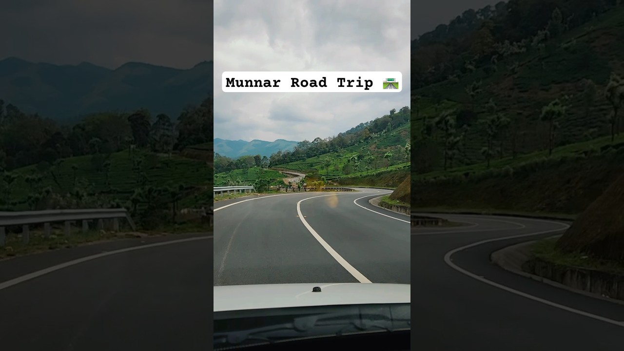 Road trip | Munnar | Lush Green Tea Estates 