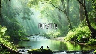 Flowing Stream & Birds Singing in the Forest | Relaxing Nature Sounds for Focus & Sleep 🌿🎶