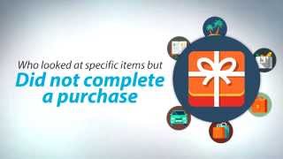 Wiqit - Dynamic Retargeting for Ecommerce