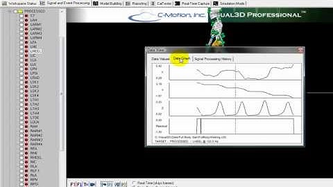 Visual3D Overview.rm