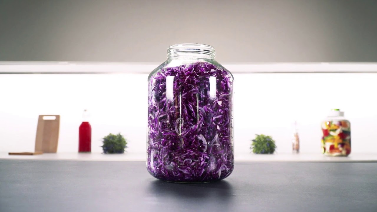 Fermentation trap DELLA CASA YouTube