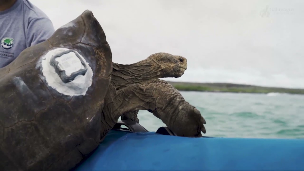 Earth Day - Restore Our Earth