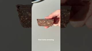 No Bake Healthy Brownies