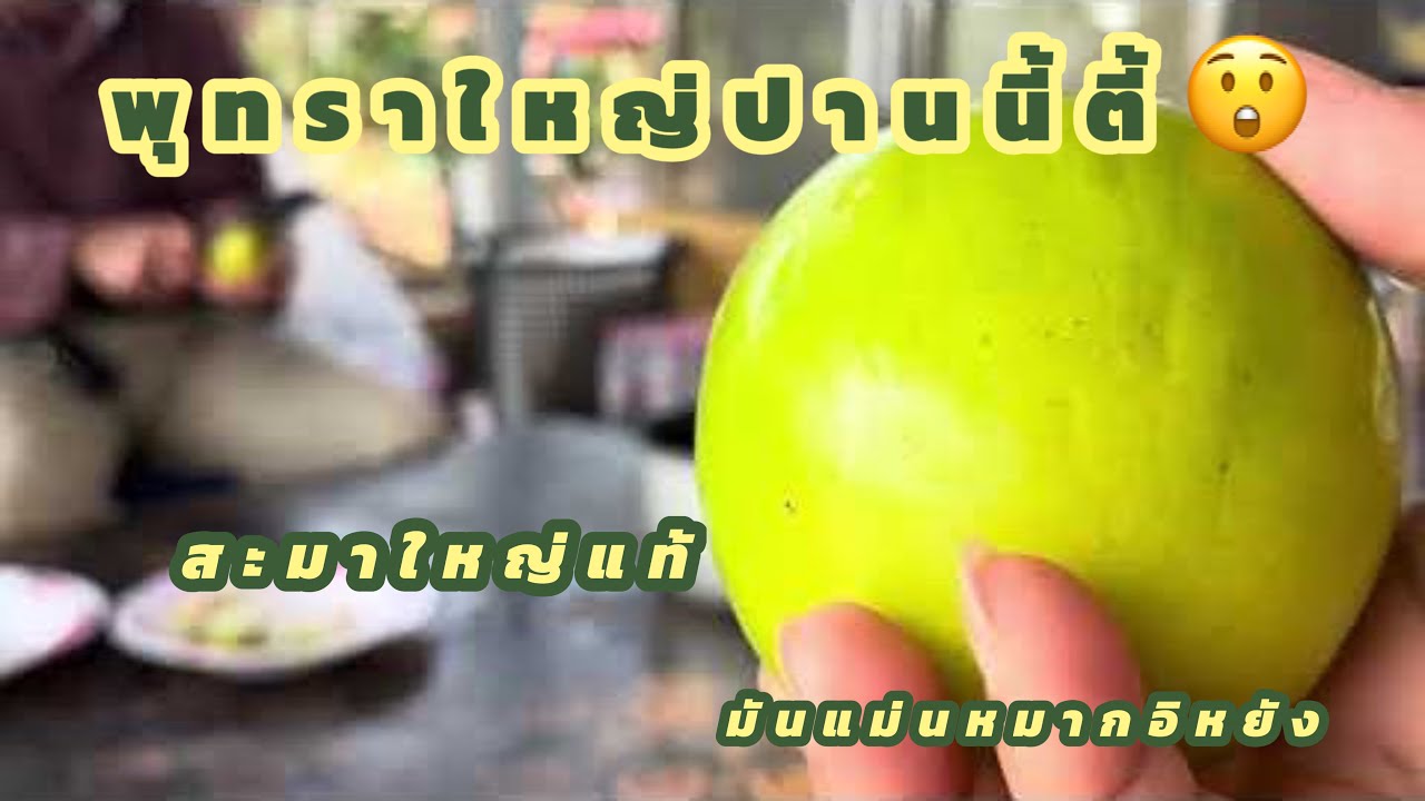 บุกสวนพุทราใต้หวัน!! พร้อมล้วงเคล็ดลับความปังจากเจ้าของสวน