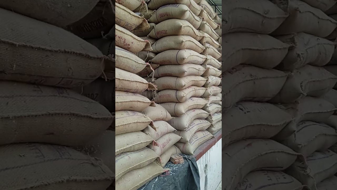 Visiting FCI godown.. ❤️.  