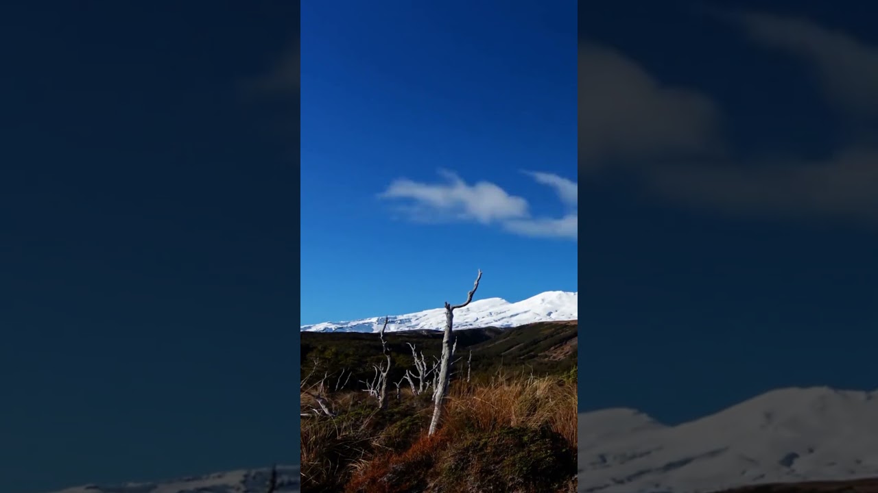 Theories and Legends  