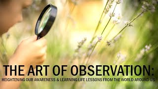 The Art of Observation: Heightening our Awareness and Learning Life Lessons from the World Around Us The Art of Observation: Heightening our Awareness and Learning Life Lessons from the World Around Us