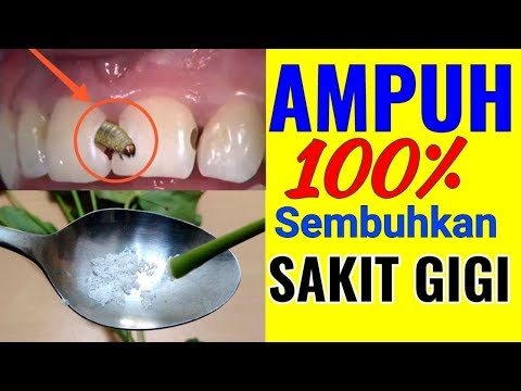 Bahan-bahan untuk menghilangkan sakit gigi secara alami sebelum berangkat ke dokter gigi. Obat sakit. 