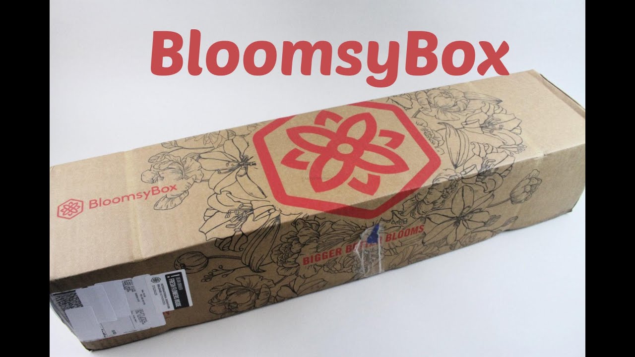 BloomsyBox November 2020 Flower Subscription Box Review + Cyber Monday