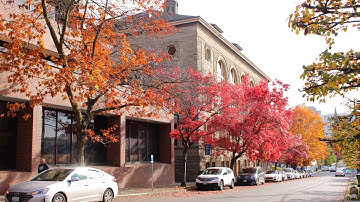 Directed Self-Placement (DSP): English