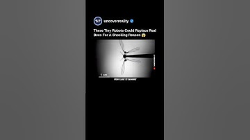 This Flying Robot Could Replace Real Bees For A Shocking Reason 😱 #robot #engineering #shorts #bee