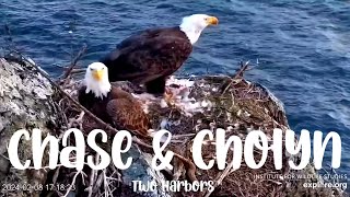 Two Harbors Nest ▪︎ Chase \& Cholyn ▪︎ Feather Food \& Nestorations ▪︎ 2.8.24 ▪︎ Explore.org