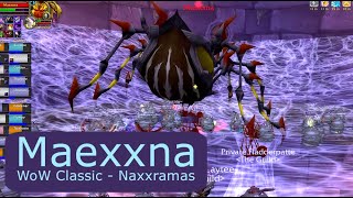 WoW Classic - Naxxramas - Maexxna, Shadow Priest