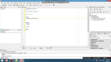 Delphi. Видео-урок №1. Основны.