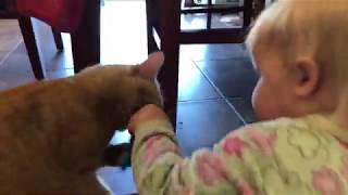 Carrot doesn’t want to share