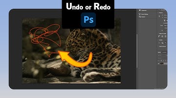 How to Undo or Redo on Photoshop [NEW]