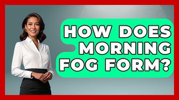 How Does Morning Fog Form? - Weather Watchdog