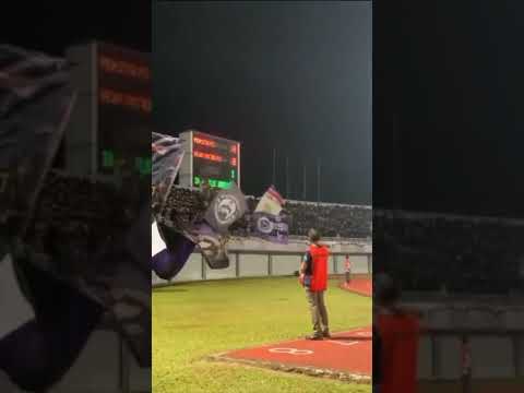 VIOLA PERSITA - YouTube