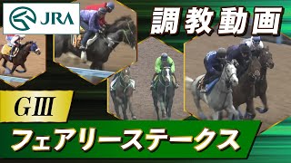 【調教動画】2026年 フェアリーステークス｜JRA公式