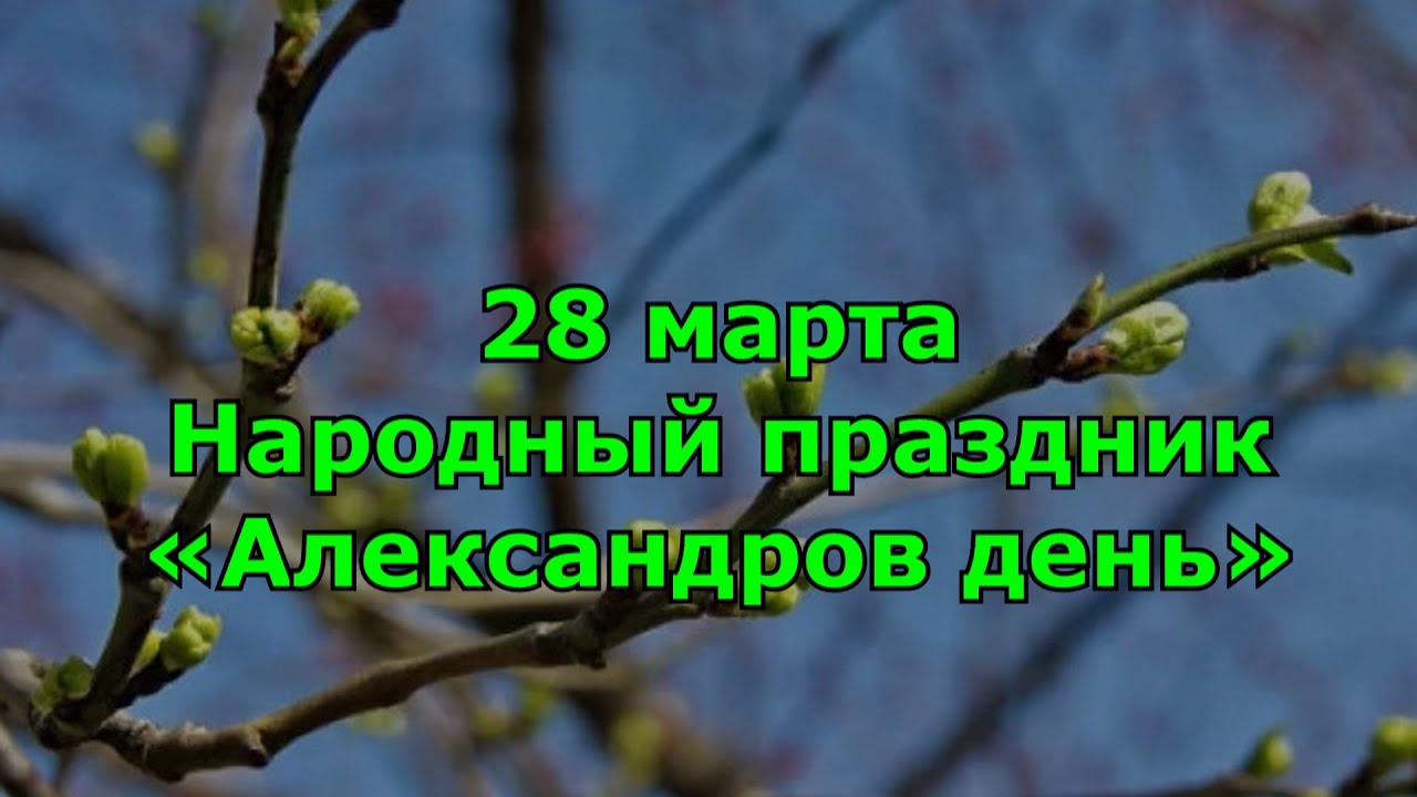 Александров день что за праздник. Александров день, Лесное ухоженье.