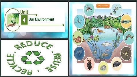 6th Science Term 3 Unit 4 Our Environment Part 1