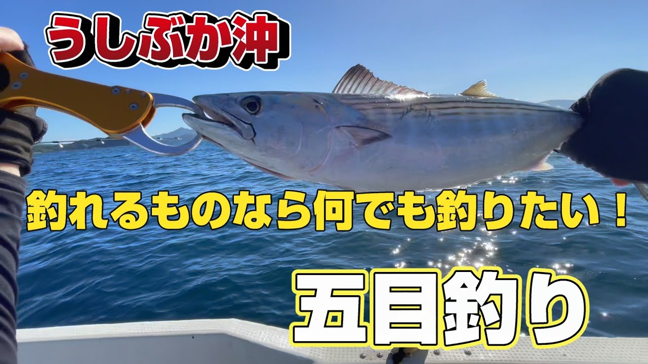 【天草ボート釣り/牛深】片島周辺で五目釣り