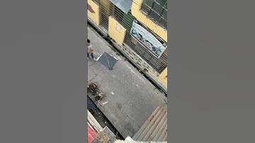 Viral kite looting #youtubeshorts #viralvideo #shortvideo #shortsfeed