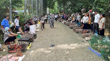 Chợ phiên vùng cao ở Điện Biên còn  giữ được nét Nguyên Sơ Mộc Mạc & Bình yên - bán nhiều đồ độc lạ