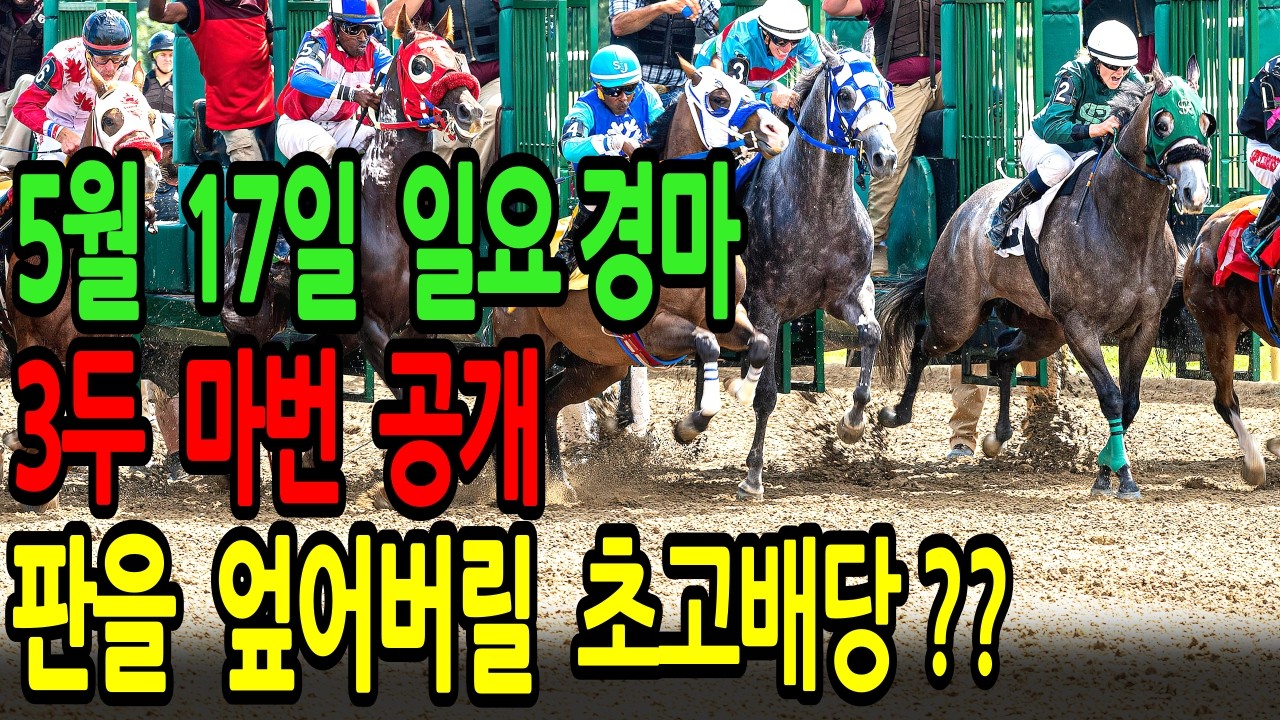 5월 17일 일요일 경마~  "인기마가 떨고 있습니다.  판을 엎어버릴 진짜 복병마?"  ㅣ승전경마 전문가의 이변 포착 l 경마 l 경마예상 l 코리아레이스 l 검빛경마 ㅣ경마정보