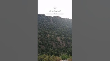 تلاوة خاشعة ما اجمل القرآن الكريم
