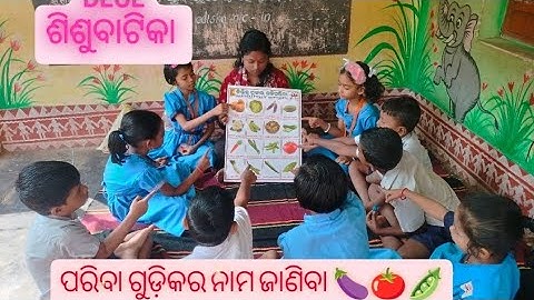 IGNOU DECE 4 Project Work Video/Phase-2/Day-17/Activity-23/January Session 2025