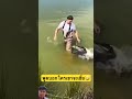 พูดใครจะเชื่อ#shorts #youtubeshorts #shortvideo #short #viral #viralvideo #ytshort #ปลา #fishing