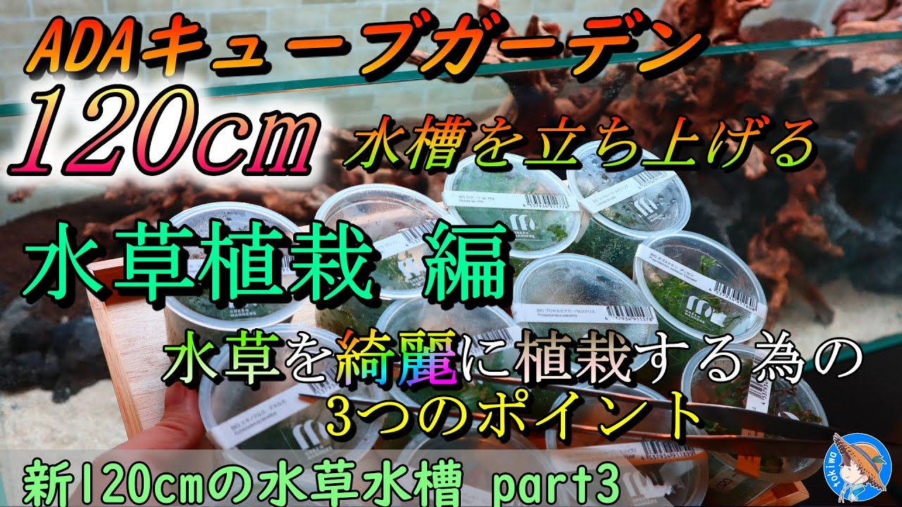 大型水槽】新120cmの水草水槽part3 立ち上げ（水草植栽編）：綺麗に
