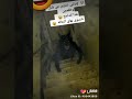 من تنزلون اشربون ماي وشوفون هذا شسون الصراحة يمة