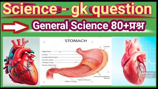 General scince question and answergk question and answer gk in hindi