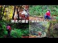 【4K】師走の鎌倉 獅子舞のもみじ（字幕をオンにして見て下さい）