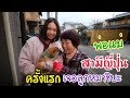 ลูกหมาชิบะเจอพ่อแม่สามีญี่ปุ่นครั้งแรก Shibainu Puppy || หมาชิบะ หน้ายิ้ม EP10