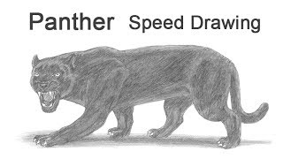 EJ Drake - Black Panther sketch