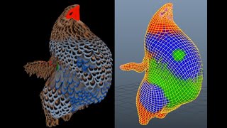 Short Feathers Demo - New