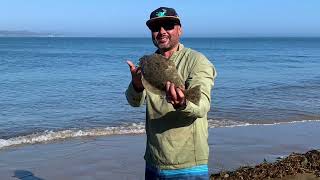 California Surf Fishing for Halibuts: Don’t let this happen to you!