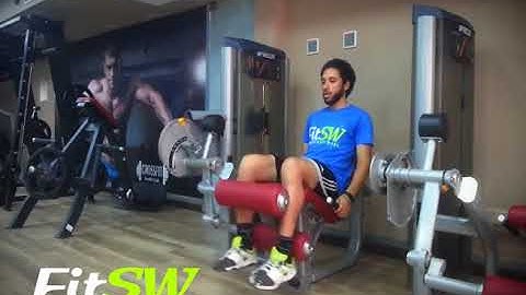 Seated Hamstring Curl Machine: Hamstring, Leg Exercise Demo How-to