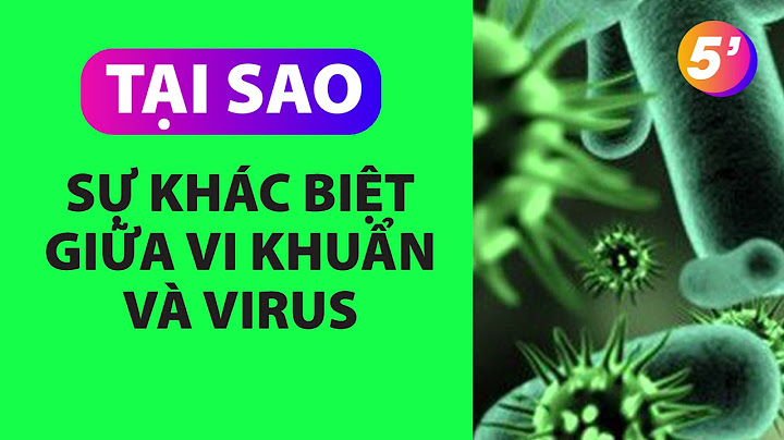So sánh sự khác biệt giữa virut và vi khuẩn