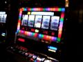 Nz pokies wins