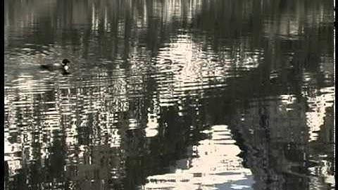 Dave Eggar - Rude Awakening