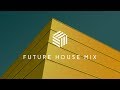 Best of Future House Mix by Kin Le Max