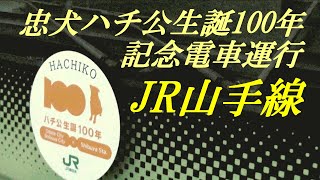 忠犬ハチ公生誕100年　記念電車運行　JR山手線