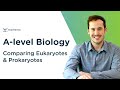 Comparing Eukaryotes & Prokaryotes | A-level Biology | OCR, AQA, Edexcel