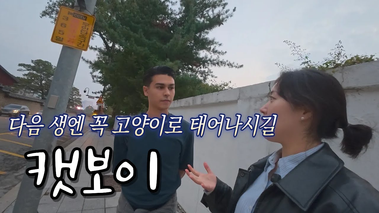 고양이가 되고 싶다는 영국 친구의 한국 첫 방문기