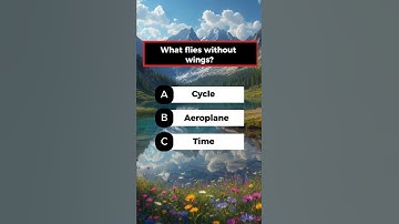 Can You Solve All These Riddles 😎 #quizapp #quiz #riddles #trivia #brainteaser